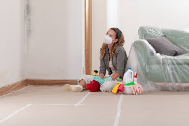 Reliable Mold Inspection contractor in Roselle, IL by WQB Mold Removal